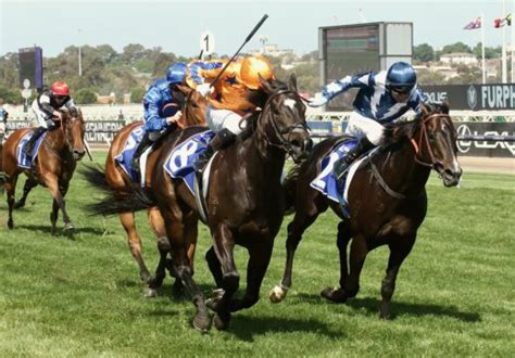 lightning stakes tips|Lightning Stakes 2024 Betting & Tips .